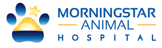 Morningstar Animal Hospital home page