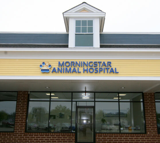 Entrance to Morningstar Animal Hospital